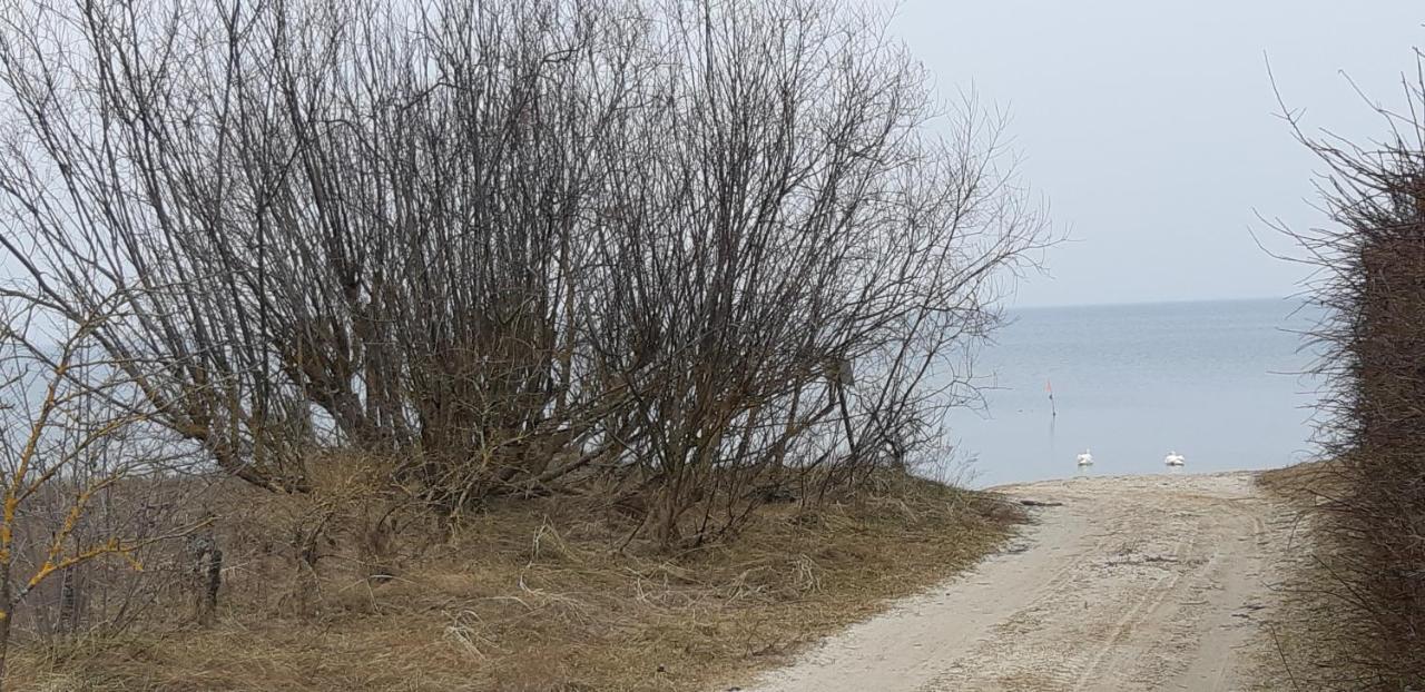 Villa Лора Lapmežciems Esterno foto