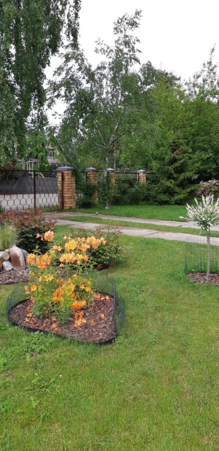 Villa Лора Lapmežciems Esterno foto